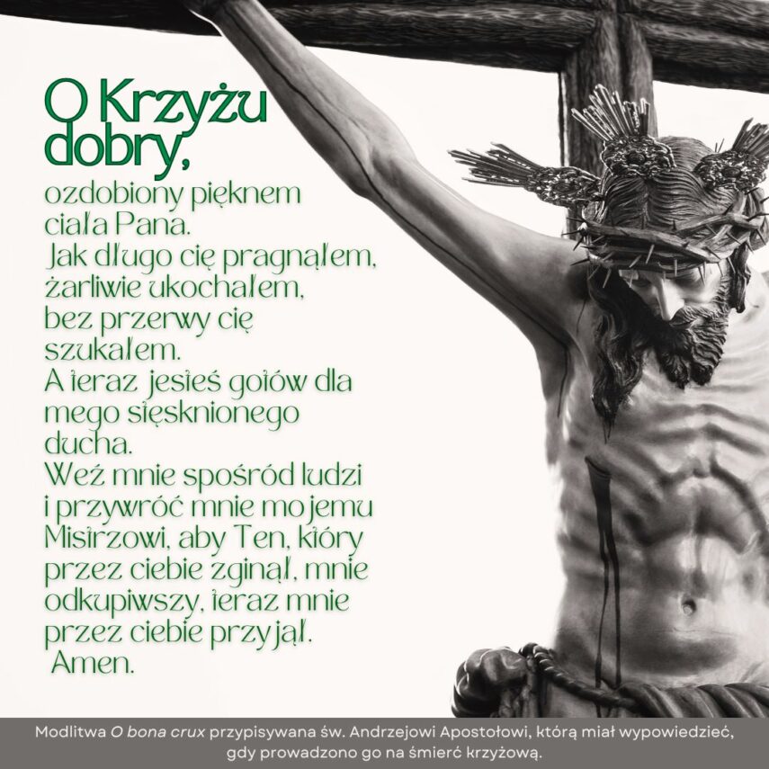 ŚWIĘTO PODWYŻSZENIA KRZYŻA – 14.IX.2025     