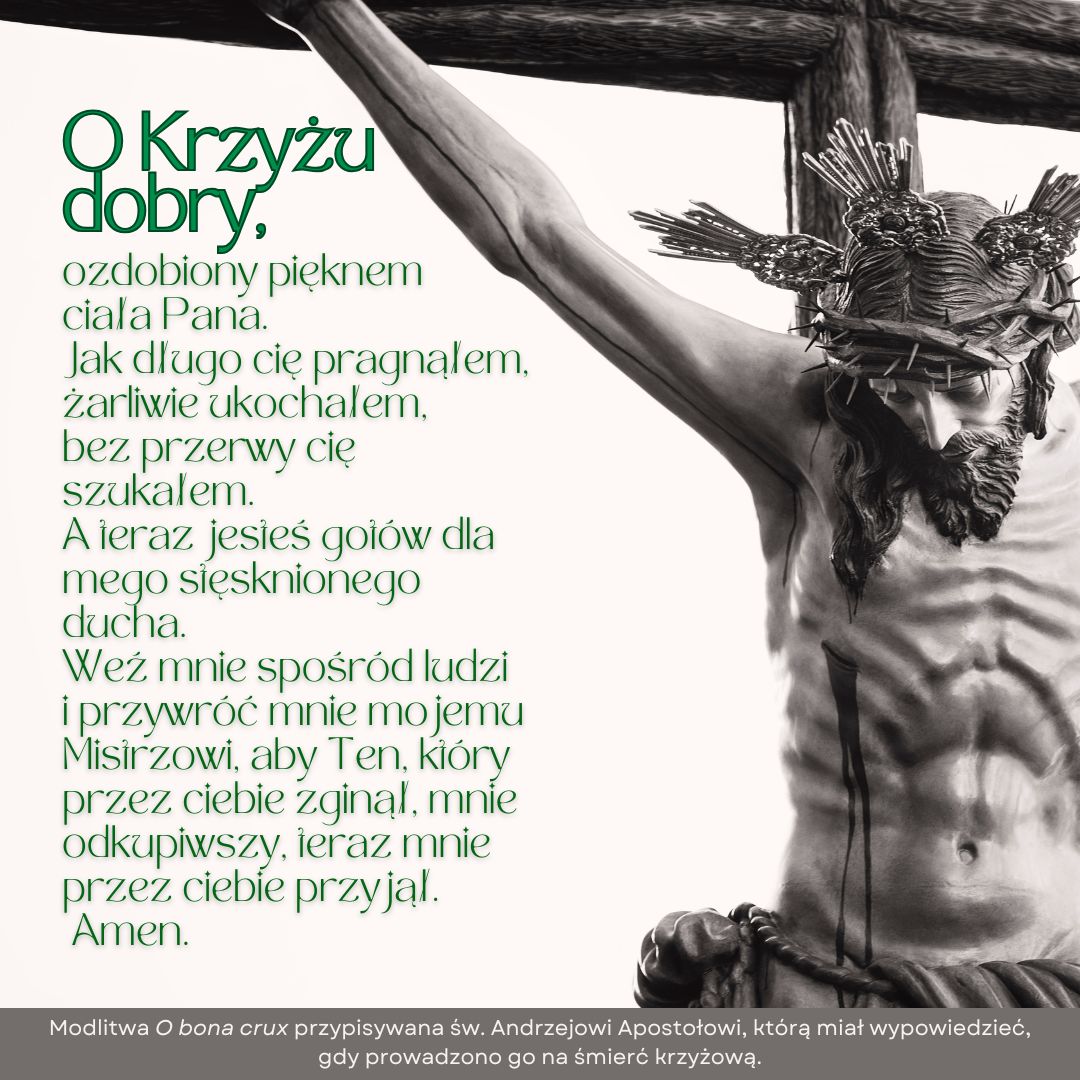 ŚWIĘTO PODWYŻSZENIA KRZYŻA – 14.IX.2025     