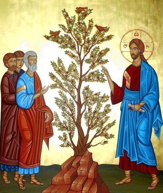Ogłoszenia parafialne: XVI NIEDZIELA ZWYKŁA – 19.07.2026